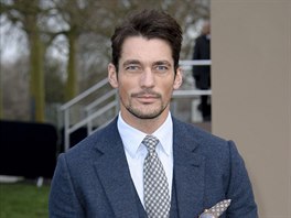 David Gandy (8. ledna 2014)