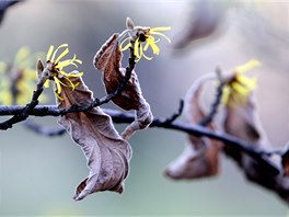 Teplotní rekordy podle meteorolog mohou padat i ve tvrtek. "Je to poslední...