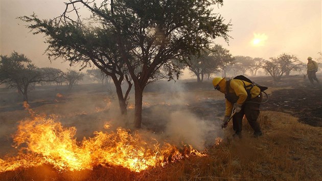 Chilt hasii se sna uhasit lesn por u msta Melipilla vzdlenho asi 70 km jihozpadn od Santiaga (7. ledna 2014).