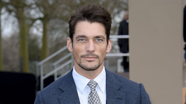 David Gandy (8. ledna 2014)