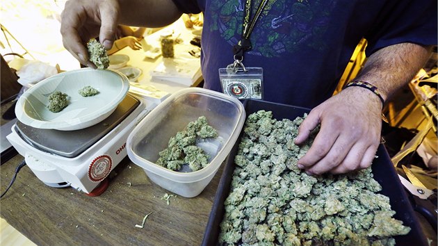 Zamstnanci obchod, kter dostaly licenci na prodej marihuany, dokonuj ppravy ped otevenm na "Zelenou stedu" (1.1. 2014)