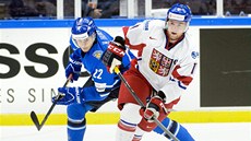 U PUKU. �eský kapitán Petr �idlík vede koutou� v utkání proti Finsku. 