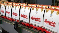 Balírna Budějovického Budvaru:  Hotové 6-packy ležáku Budweiser Budvar na pásu