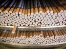 Kadá z výrobních linek vychrlí 8-10 tisíc cigaret za minutu