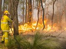 Australtí hasii svádjí v posledních dnech boj se stovkami poár (12. ledna...