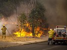 Takto bojovali s plameny hasii v Pert Hills na západ zem v nedli (12. ledna...