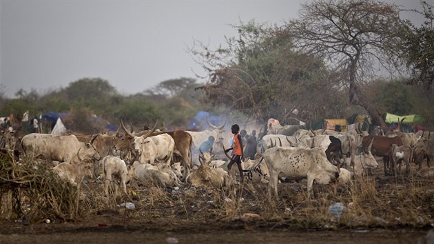 Súdánští uprchlíci ve městě Awerial.
