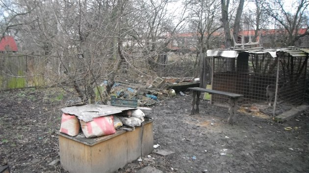 Kavkazskho psa bezdomovec choval v kleci v bvalch zahrdkch na okraji Litomic.