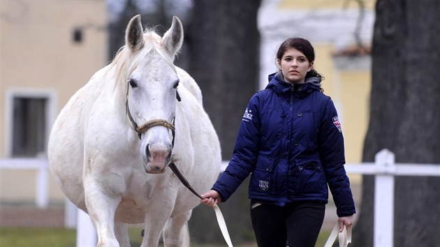 Ošetřovatelé evakuovali přibližně 220 koní.