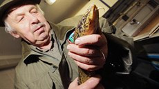 V rybí líhni v Borových Ladech kon�í výt�r nové generace mníka jednovousého. Z...