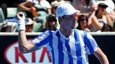 Tomá Berdych na Australian Open