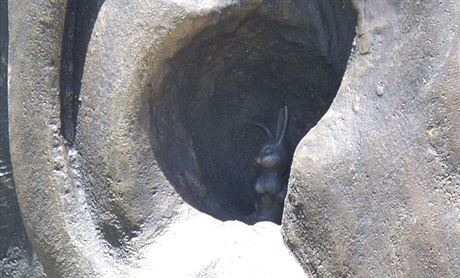 Autoi do ucha sochy Nelsona Mandely umístili bronzového králíka.