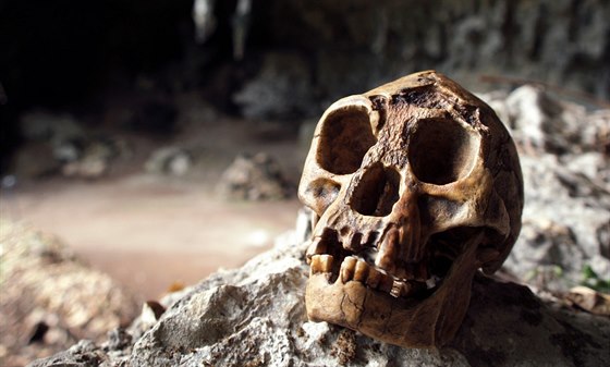 U ped 500 tisíci lety neandrtálci podle týmu z madridské univerzity vdli, e se v zubech dají v pípad nutnosti penáet vci.