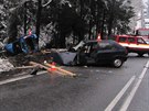 Tragická nehoda u Naidel. (22. ledna 2014)