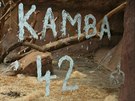 Nápis Kamba 42 byl celý k jídlu: tvoil ho bílý jogurt a lnná semínka. 