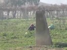 Sbírají trávu, aby nezemeli hlady. To je obraz dnení Sýrie