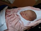 Dcera Vlasty Horvátha Albta se narodila 23. ledna 2014.