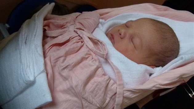 Dcera Vlasty Horvtha Albta se narodila 23. ledna 2014.