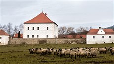 Krínova vodní tvrz, kterou rekonstruují restituenti