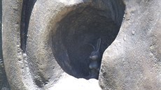 Autoi do ucha sochy Nelsona Mandely umístili bronzového králíka.