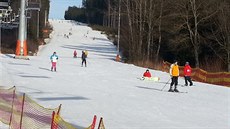 Vysn�ené sjezdovky Skiareálu Lipno svítí do dálky. Bez technického sn�hu by se...