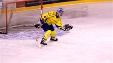 Zápas krajské hokejové ligy mezi Krnovem a Karvinou skonil kuriózní situací....