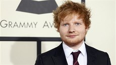 Ed Sheeran (Grammy 2013)