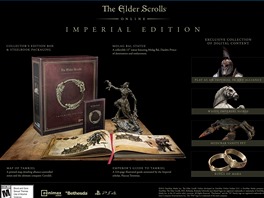 Elder Scrolls Online