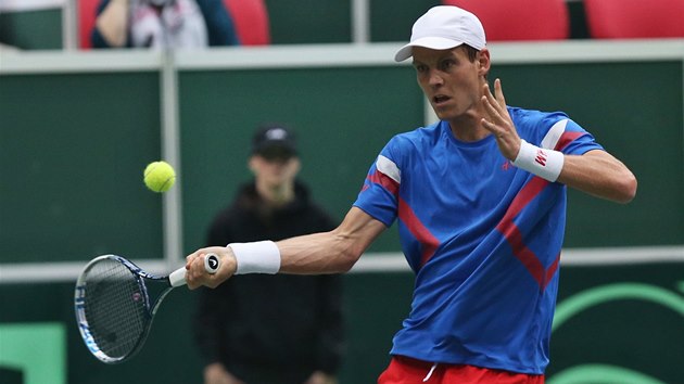 POD KONTROLOU. Tom Berdych v Davis Cupu v utkn proti Nizozemsku. 