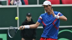 POD KONTROLOU. Tomá Berdych v Davis Cupu v utkání proti Nizozemsku. 