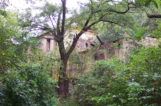 Ruiny kolonie Buánka