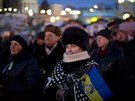 Ukrajinci demonstrují za piblíení své zem EU  (3. února 2014)
