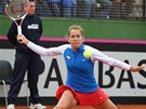 BOJ. eská tenistka Barbora Záhlavová-Strýcová hraje ve Fed Cupu proti panlce