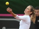 NADHOZ. eská tenistka Klára Zakopalová hraje v 1. kole Fed Cupu proti