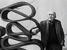 Socha Stanislav Kolíbal se ve svém praském ateliéru opírá o kovovou plastiku,...