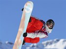 výcar Lucien Koch v olympijském finále slopestylu. (8. února 2014)