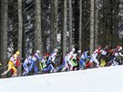 Závod skiatlonist na 30 kilometr ve stedisku Laura Cross Country. (9. února...