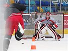 Jakub Ková trénuje ped olympijskými hrami s hokejisty Hradce Králové.