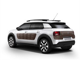 Citron C4 Cactus