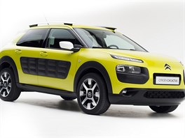 Citron C4 Cactus