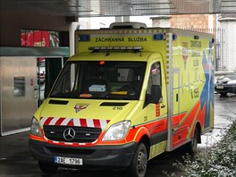 Rychlá záchranná slu�ba. (Ilustra�ní snímek)