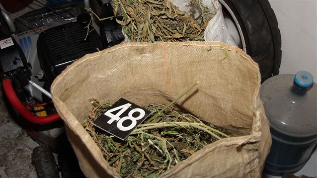 Policist pi domovnch prohldkch odhalili tak dva kilogramy suen marihuany.