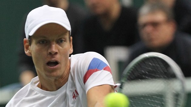 Tom Berdych v daviscupovm utkn proti Nizozemsku.