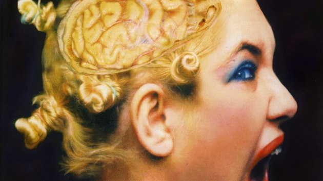 Veronika Bromov, Pohledy, 1996