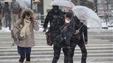 Japonci se potýkají se silným snení i vtrem (Tokio, 8. února 2014)