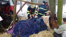 Majitelka farmy Kozodoj zavolala hasie na pomoc, protoe k si pi