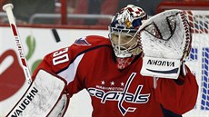 �eský gólman Michal Neuvirth v brankce Washingtonu.