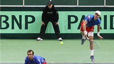 TYHRA. Radek tpánek a Tomá Berdych (vpravo) v duelu s Nizozemci.