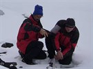 Vdci z Masarykovy univerzity na antarktické expedici v roce 2014. Rostlinní...