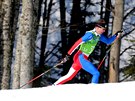 Bec na lyích Luká Bauer ve tafetovém závodu na 4x10 kilometr. (16. února...